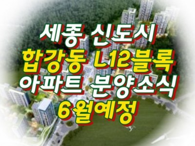 세종 신도시 합강동 L12블록 아파트 분양 소식 6월예정