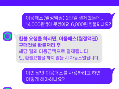 세종시 2024년 9월 이응패스가 시작됩니다